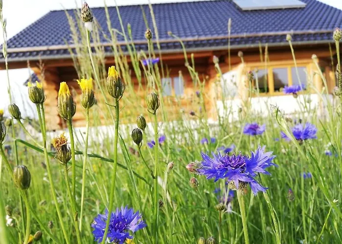 4 Sterne Stammzeit Apartmán *